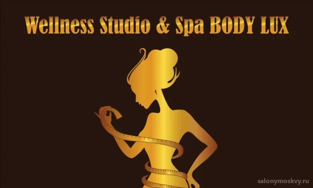 Салон красоты Wellness studio&spa body lux фото 4
